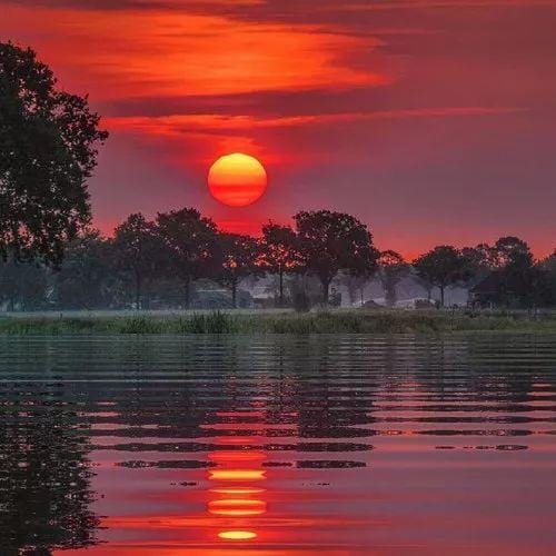 สายปั่นมือทอง avatar